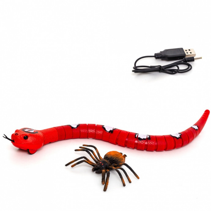 Змея, электромеханическая, в наборе с пауком Артикул: 556686